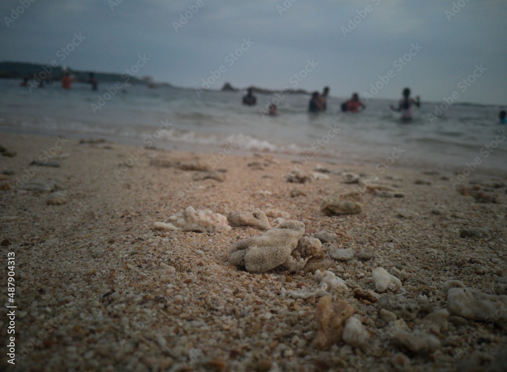 Obraz premium walking on the beach