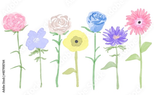 Fototapeta Naklejka Na Ścianę i Meble -  水彩画。水彩で描いたさまざまな花のイラスト。ガーベラやバラの単体イラスト。一輪の花。Watercolor painting. Illustrations of various flowers painted in watercolor. A single illustration of a gerbera or a rose. A single flower.
