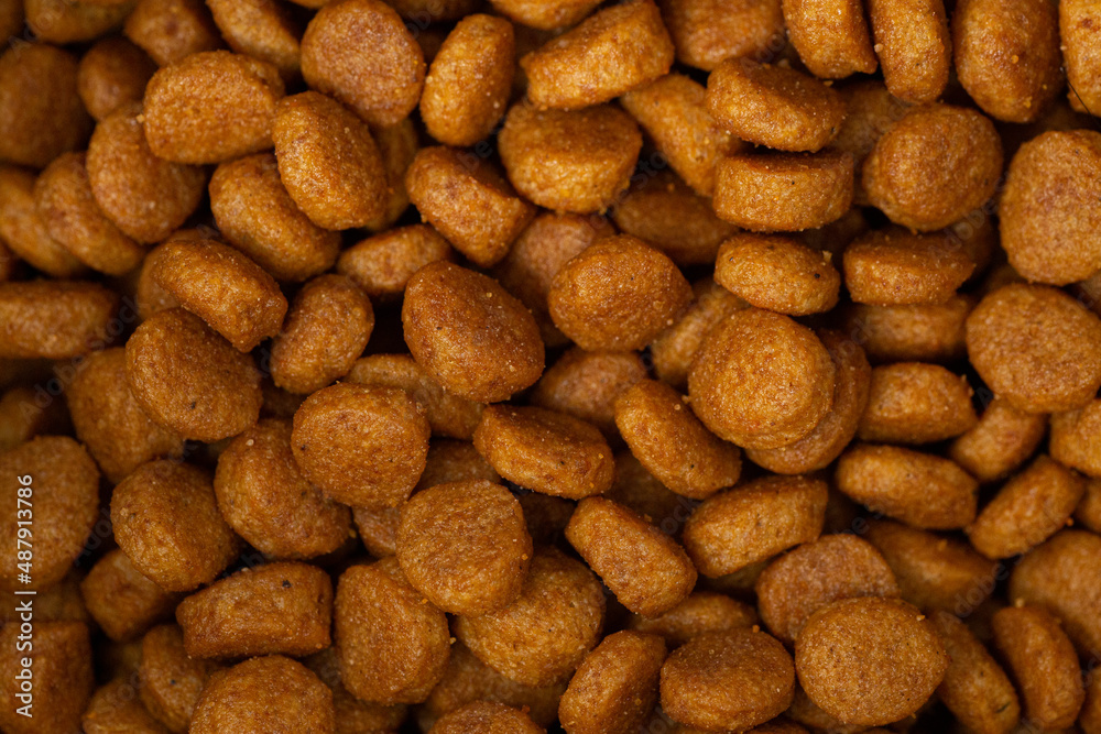 Cat food textures for backgrounds and wallpaper. Texture background. Abstract background. Macro photography. Close up Cat food textures for backgrounds and wallpaper. Texture background. Abstract background. Macro photography. Close up
