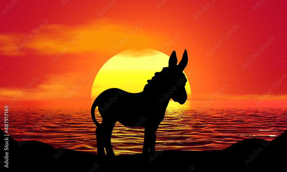 Donkey Animal Sunset Beach Sunrise landscape illustration