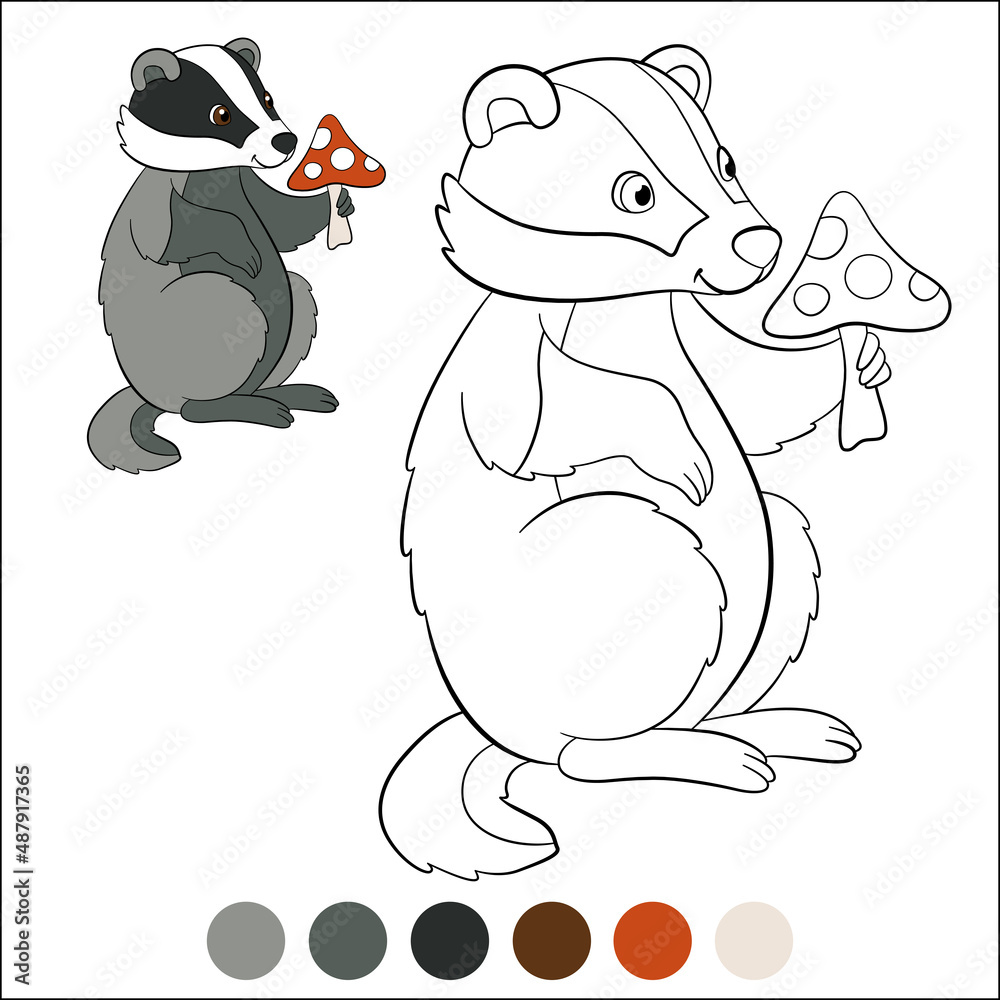 Fototapeta premium Color me: wild animals. Little cute badger stands with amanita in the hands and smiles.