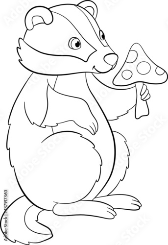 Coloring page. Little cute badger sits and holds an amanita in the hands.