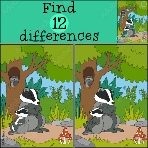 Educational game: Find differences. Mother badger sleeps with her little cute baby near the tree in the forest.
