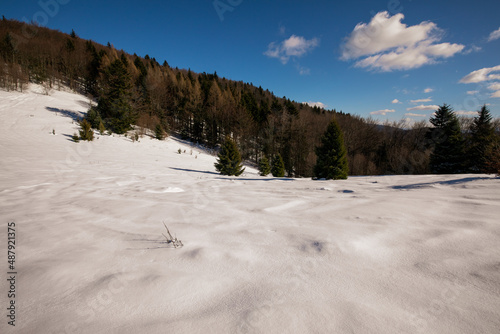 Fototapeta Naklejka Na Ścianę i Meble -  winter walk in the snowy mountains