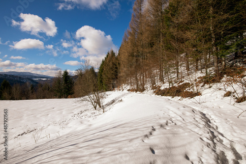 winter walk in the snowy mountains