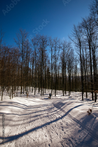 Fototapeta Naklejka Na Ścianę i Meble -  winter walk in the snowy mountains