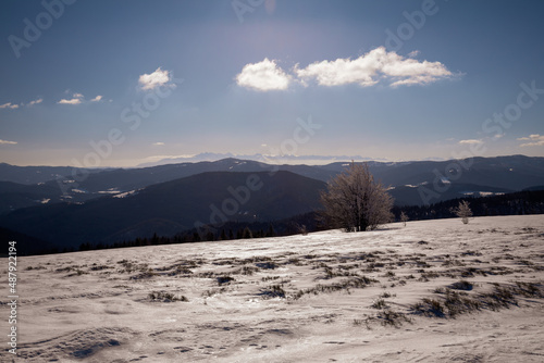 Fototapeta Naklejka Na Ścianę i Meble -  winter walk in the snowy mountains