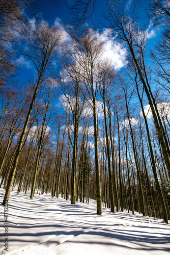 Fototapeta Naklejka Na Ścianę i Meble -  winter walk in the snowy mountains