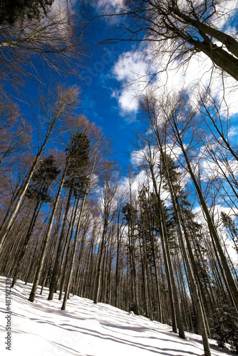 Fototapeta Naklejka Na Ścianę i Meble -  winter walk in the snowy mountains