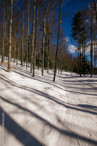 Fototapeta Naklejka Na Ścianę i Meble -  winter walk in the snowy mountains