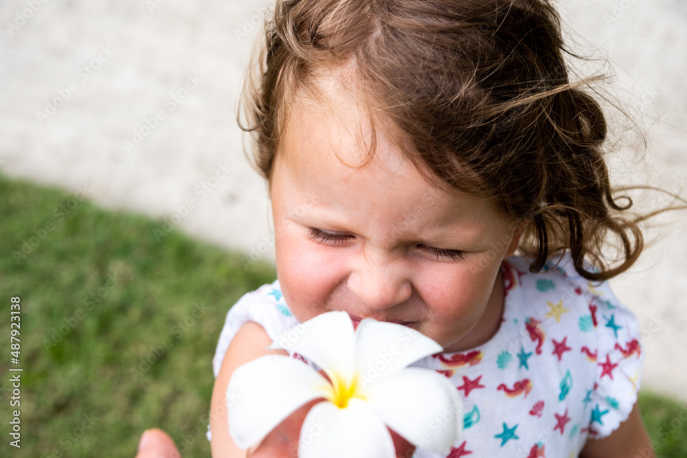 A cute little girl with curly hair is sniffing a white plumeria flower. The wind develops the child's hair. Happy baby. Wind in the hair A cute little girl with curly hair is sniffing a white plumeria flower. The wind develops the child's hair. Happy baby. Wind in the hair