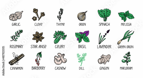 Icons of herbs and spices, drawn element in doodle style. Package design template with logo and emblem - herbs and spices - poppy, cashew, vanilla, anise, etc. Logo in a fashionable linework