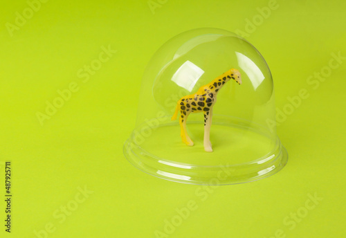 Photography Toy giraffe model under a transparent dome on a green background