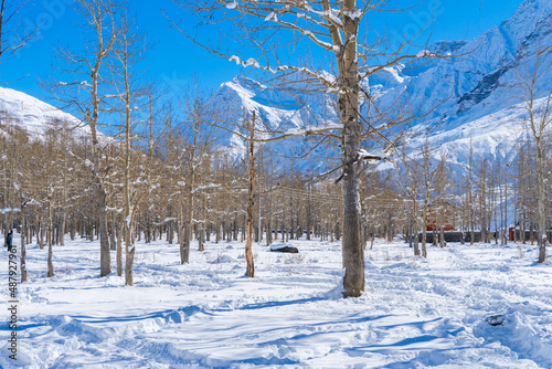 White snow covered Lahaul valley in Himachal pradesh, India. Brown woods and whilte snow capped mountains creates a winter fairyland. Magical winter wonderland lahaul valley in December and January photo
