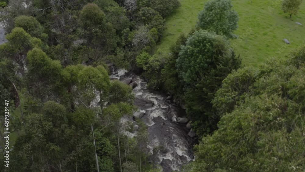 River between the trees - Aerial View - Drone River between the trees - Aerial View - Drone