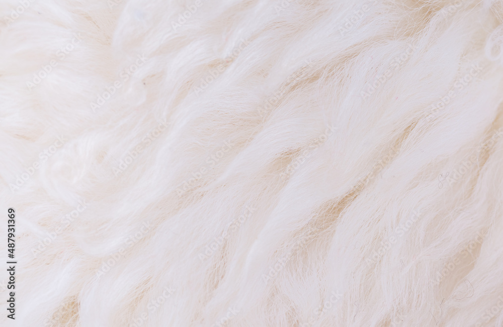 White animal fur. Weasel or cat hair. Fur clothes, white fur coat close up. Eco-wool, eco-leather artificial fur. White animal fur. Weasel or cat hair. Fur clothes, white fur coat close up. Eco-wool, eco-leather artificial fur.