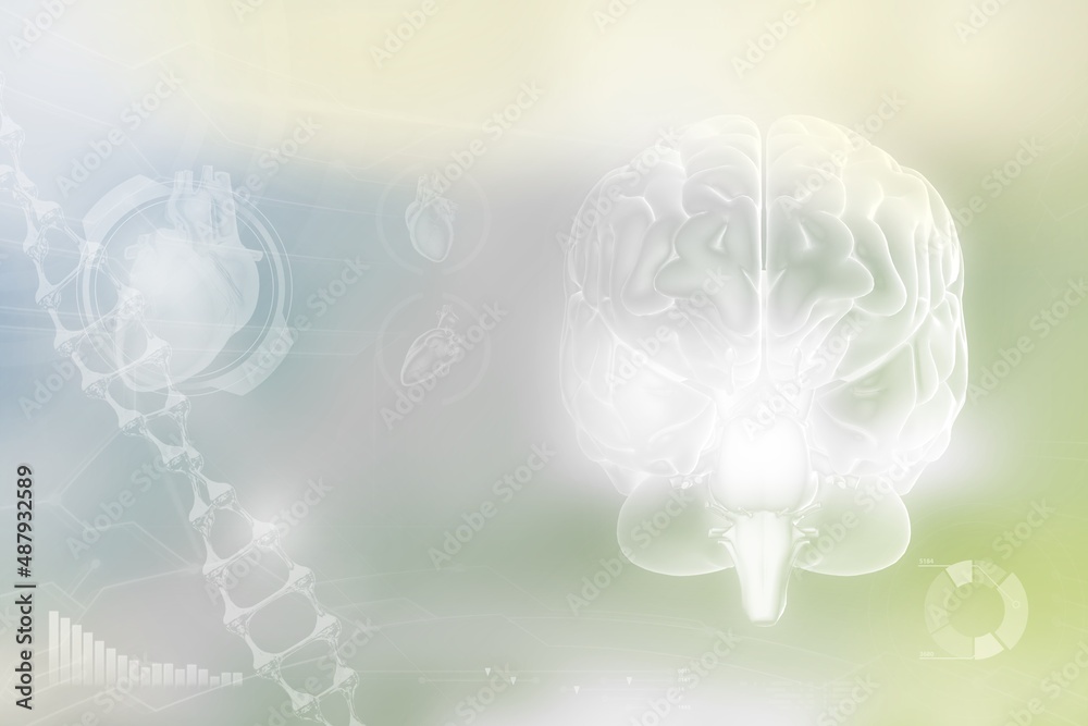 Human brain, cerebrum discovery concept - very detailed hi-tech texture or background, medical 3D illustration Human brain, cerebrum discovery concept - very detailed hi-tech texture or background, medical 3D illustration