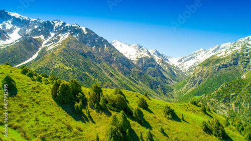 Beautiful nature of the rocky mountains of Switzerland. Snowy peaks, green landscape of nature. Coniferous trees among the rocks on a blue background.