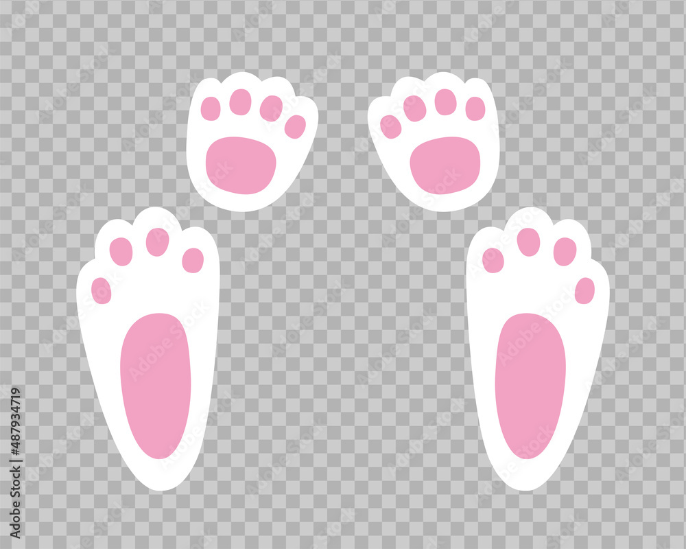 Bunny footprint vector illustration. White rabbit foot step isolated on transparent backdrop Bunny footprint vector illustration. White rabbit foot step isolated on transparent backdrop