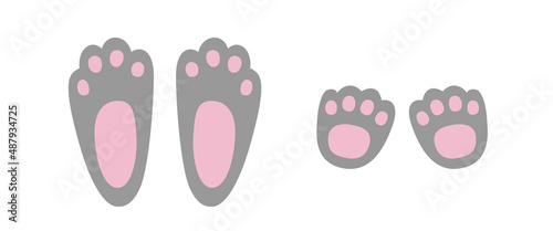Bunny footprint vector illustration. Colorful rabbit foot step