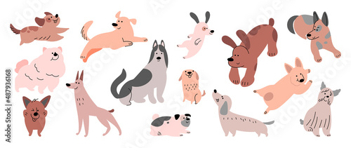Set of cute dogs vector. Lovely dog and friendly puppy doodle pattern in different poses and breeds with flat color. Adorable funny pet and many characters hand drawn collection on white background.