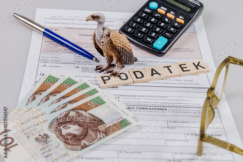 Wąż na tle banknotów photo