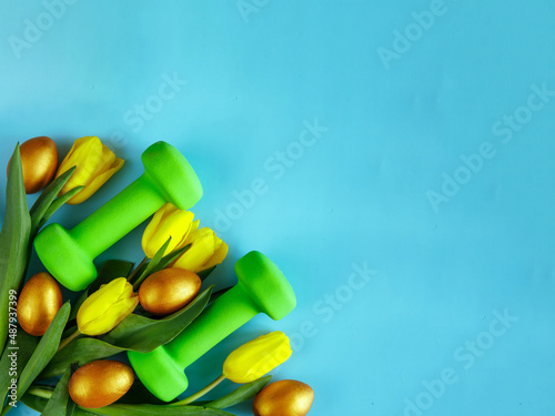 Photography green heavy dumbbells, golden easter eggs and yellow tulip flowers bouquet on blue background