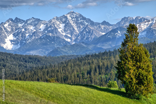 Fototapeta Naklejka Na Ścianę i Meble -  The Tatras