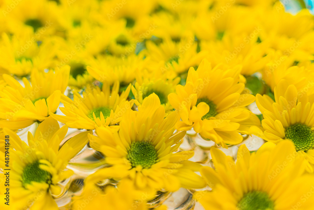 Bouquet of beautiful yellow flowers in a vase. Joyful, sunny, happy background of many yellow daisies close-up. Selective focus. Bouquet of beautiful yellow flowers in a vase. Joyful, sunny, happy background of many yellow daisies close-up. Selective focus.
