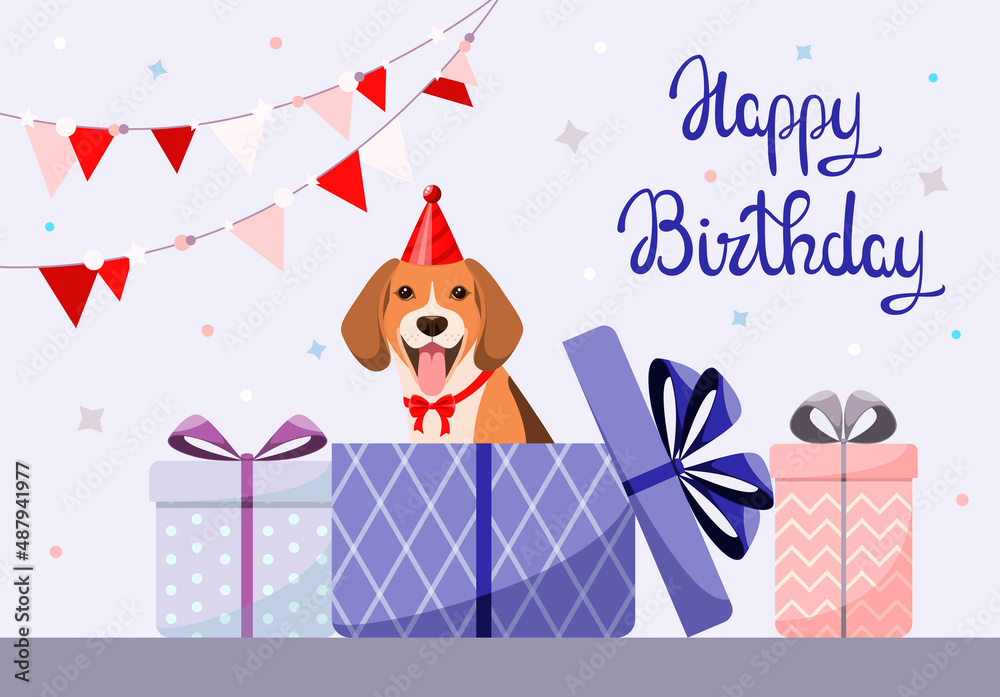Fototapeta premium Greeting card with a beagle dog. Happy Birthday. Cartoon design. 