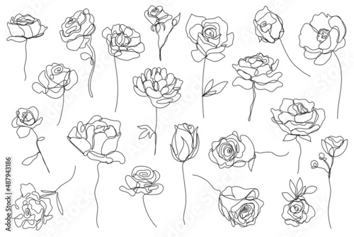 Vector set of hand drawn, single continuous line flowers - roses, peonies. Art floral elements. Use for t-shirt prints, logos, cosmetics and beauty design elements.