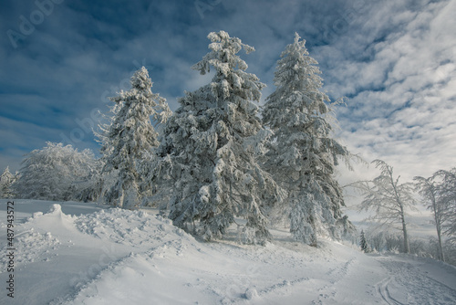Winter in Beskidy mountains near Szyndzielnia  Klimczok and Blatnia  Beskid Slaski  Poland