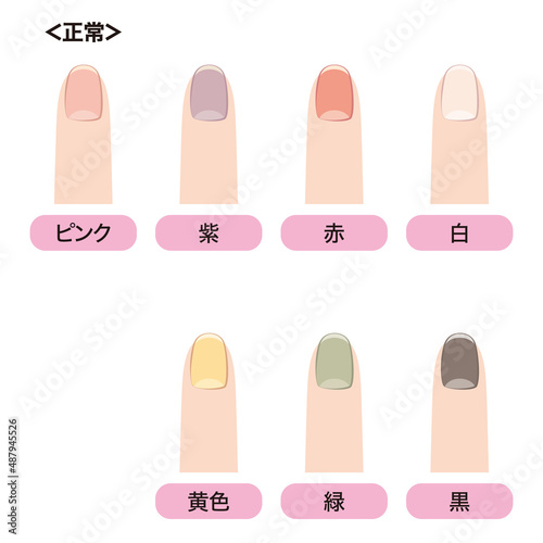 爪の色と健康