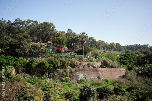 Beautiful building in a dense forest on the hill photo