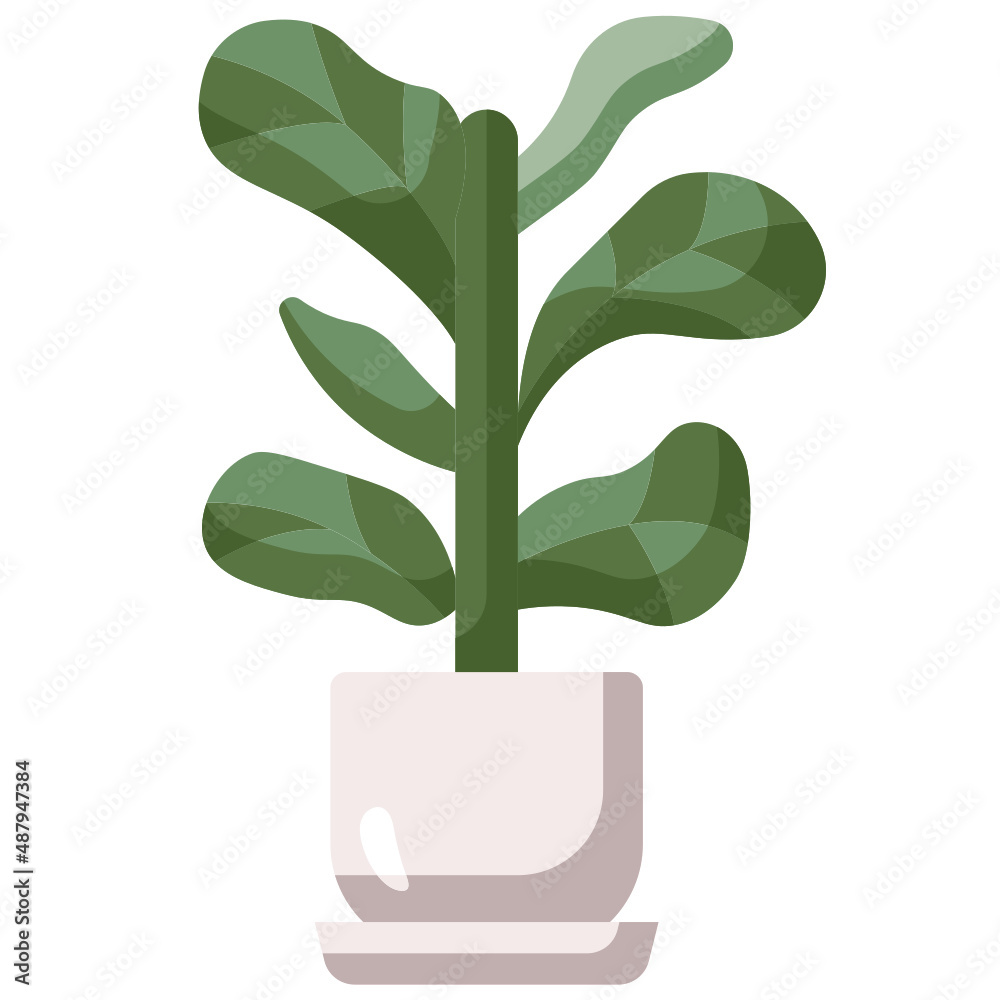 fiddle leaf fig flat icon