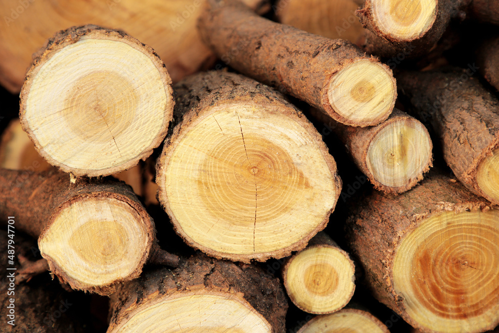 Abstract background with a wooden cut of logs stacked on top of each other