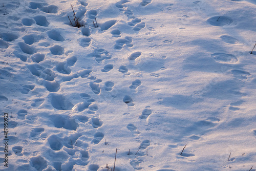 human footprints on the falling snow, shoe prints in the snow, winter snow and human,