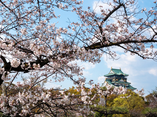 Osaka castle and cherry blossom