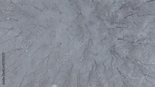 View from above snow falling over trees in winter forest, Germany
