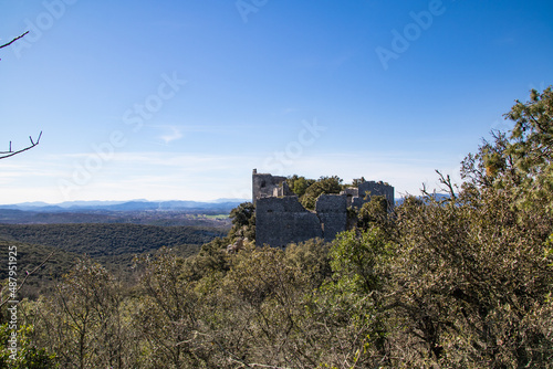 Vue sur les ruines du Ch  teau d   All  gre sur le flanc du Mont Bouquet  Occitanie  France 