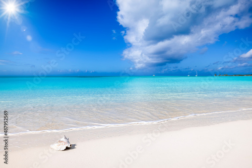 Fototapeta Naklejka Na Ścianę i Meble -  A tropical paradise beach with turquoise sea, blue sky and a Conch shell in the Caribbean Sea as a background or texture