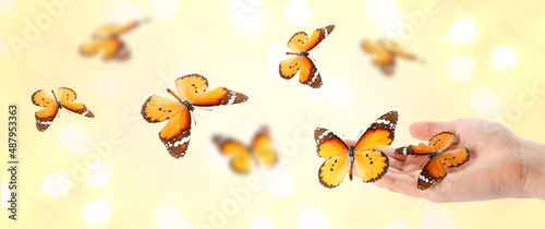 Beautiful butterfly on flow...