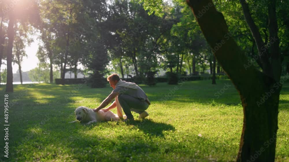 Joyful happy man petting tired golden retriever lying on field after training. Joyful happy man petting tired golden retriever lying on field after training.