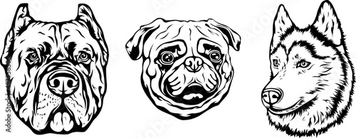 Hand drawn face of dogs. Black and white vector illustration mascot art
