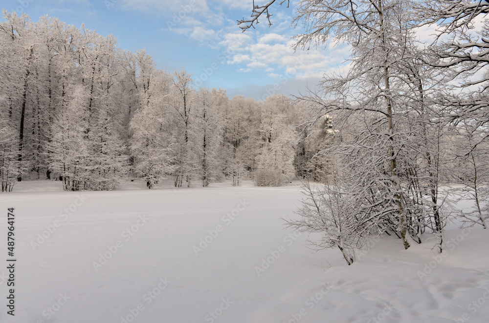 ice and snow covered Red Pond in Izmaylovo Forest Park, Moscow ice and snow covered Red Pond in Izmaylovo Forest Park, Moscow