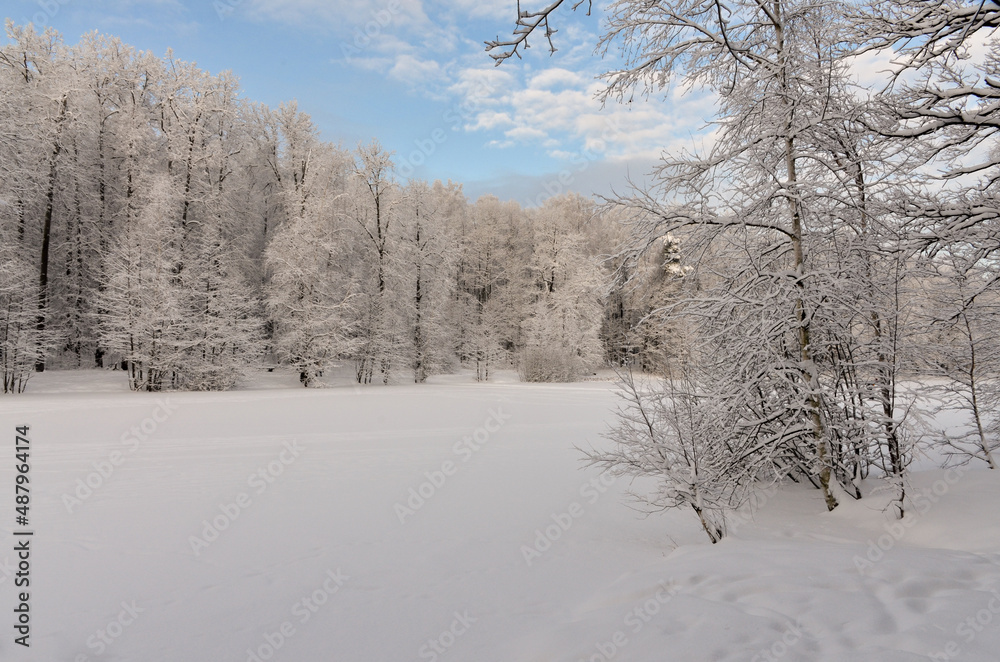 ice and snow covered Red Pond in Izmaylovo Forest Park, Moscow