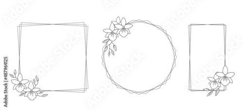 Frames with orchid flowers (Vuylstekeara) on a white background, linear drawing. Simple elegant frames for your design of cards, greetings, invitations and the like. Vector line art illustration.