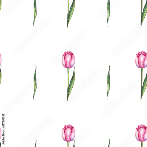 Watercolor tulips. Seamless pattern. Hand-painted