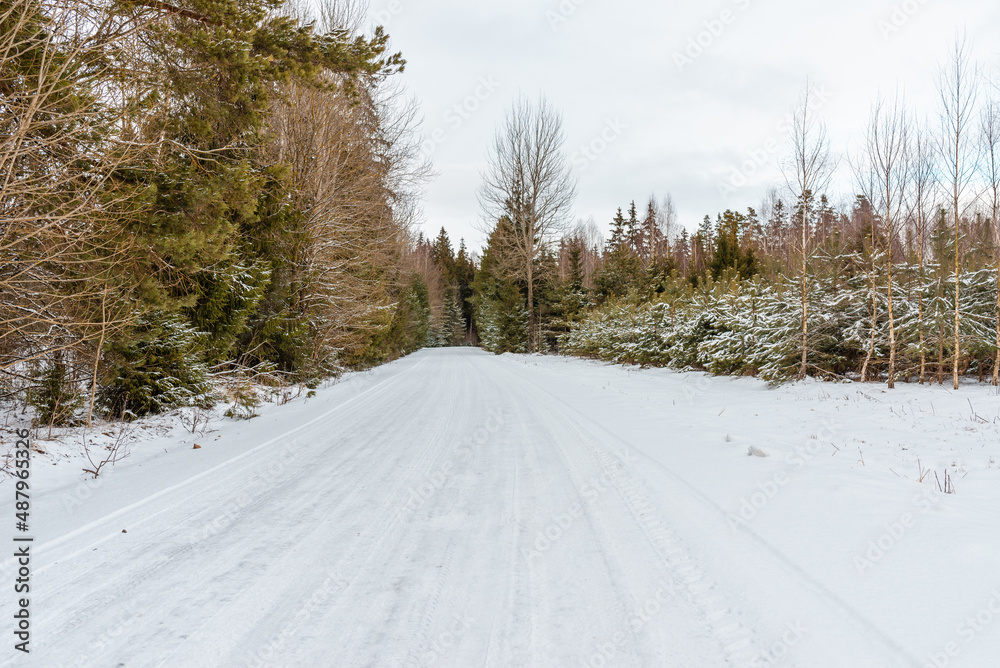 Empty snow covered road in winter landscape.Snowy Road through a forest Landscape in Winter Cloudy Day.