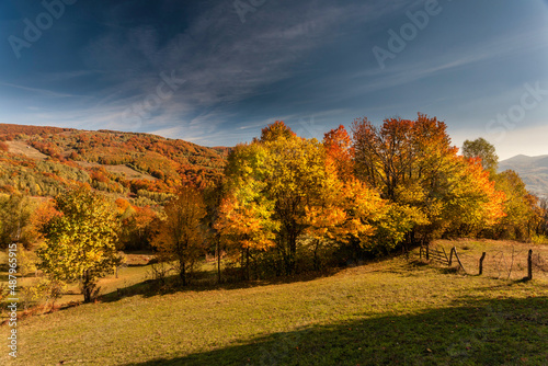 Autumn mountain landscape - yellowed and reddened autumn trees combined with green needles and blue skies. Colorful autumn landscape scene in the Romanian Carpathians. Panoramic view.